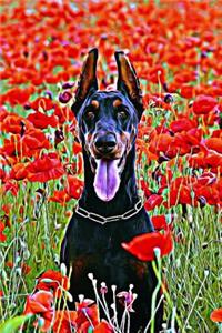 Doberman Pinscher