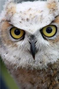 In Your Face Owl Journal