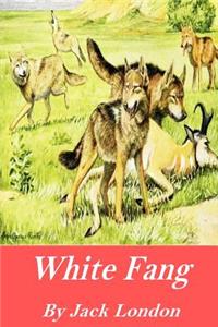 White Fang