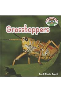 Grasshoppers