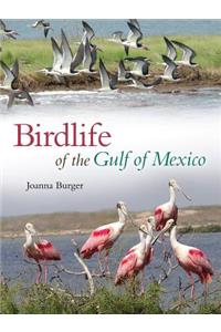 Birdlife of the Gulf of Mexico