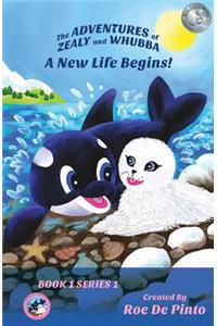 The Adventures of Zealy and Whubba