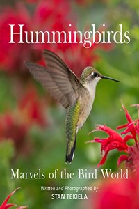 Hummingbirds