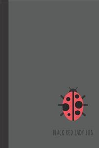 Black Red Lady Bug