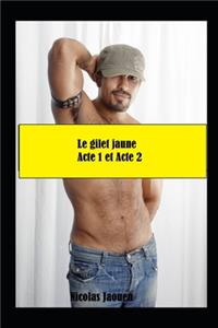 Le gilet jaune