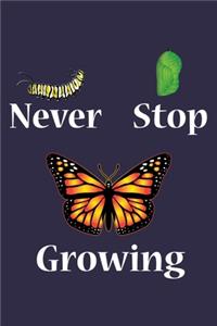 Never Stop Growing