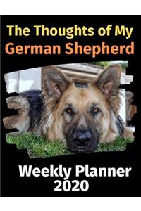 The Thoughts of My German Shepherd