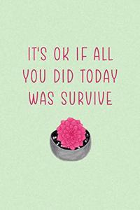 It's Ok If All You Did Today Was Survive