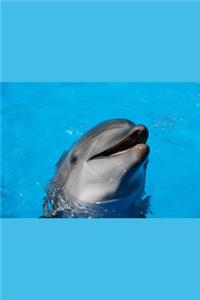 My Joyful Dolphin Journal