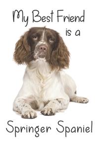 My best Friend is a Springer Spaniel