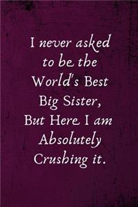 I Never Asked to Be the World's Best Big Sister, But Here I Am Absolutely Crushing It.