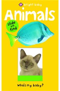 Bright Baby Slide & Find Animals