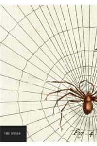 Natural History Museum: The Spider Notebook