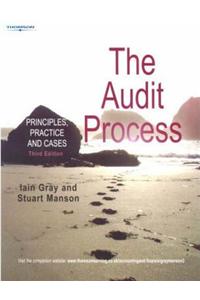 Audit Process