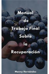 Manual de Trabajo Final