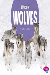 Animal Groups Pack of Wolves