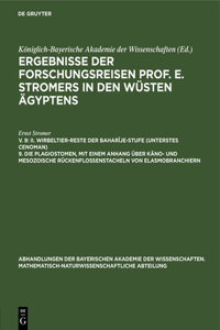 II. Wirbeltier-Reste Der Baharîje-Stufe (Unterstes Cenoman) 9. Die Plagiostomen, Mit Einem Anhang Über Käno- Und Mesozoische Rückenflossenstacheln Von Elasmobranchiern