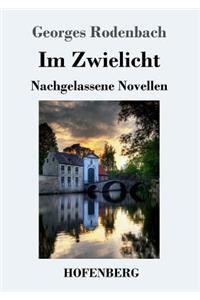 Im Zwielicht