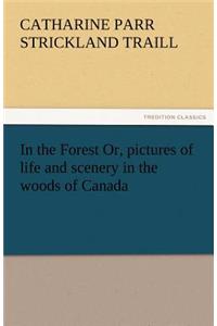 In the Forest Or, Pictures of Life and Scenery in the Woods of Canada