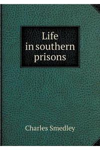 Life in southern prisons
