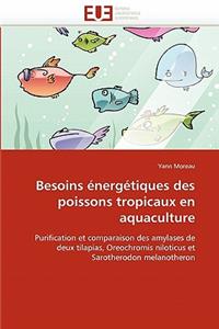 Besoins Énergétiques Des Poissons Tropicaux En Aquaculture