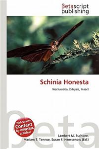 Schinia Honesta