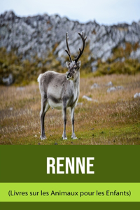 Renne (Livres sur les Animaux pour les Enfants)