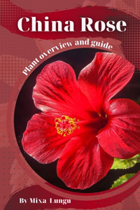 China Rose
