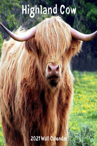 Highland Cow 2021 Wall Calendar