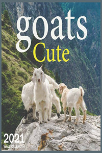 goats Cute