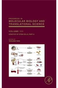 Genetics of Stem Cells