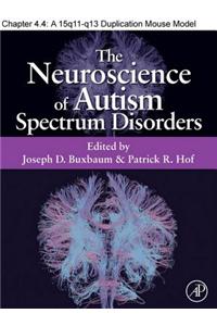 A 15q11-Q13 Duplication Mouse Model of Autism Spectrum Disorders