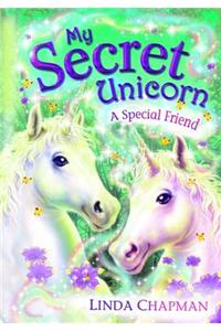A Special Friend