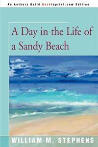 Day in the Life of a Sandy Beach