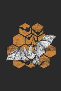 Honeycomb Bat