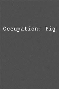 Occupation