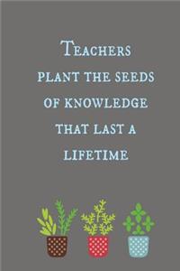 Teachers Plant the Seeds of Knowledge That Last a Lifetime