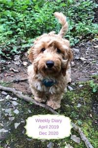 Weekly Diary April 2019-Dec 2020
