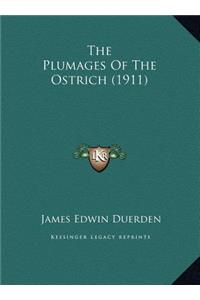 The Plumages Of The Ostrich (1911)