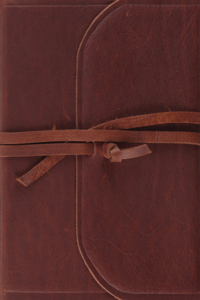 ESV Journaling Study Bible