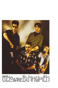 Echo & the Bunnymen