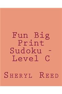 Fun Big Print Sudoku - Level C