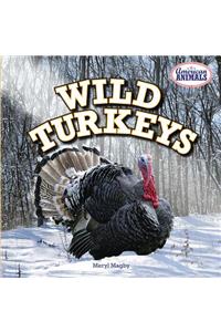 Wild Turkeys