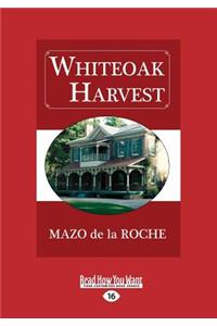 Whiteoak Harvest (Large Print 16pt)