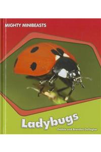 Ladybugs