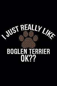 I Just Really Like Boglen Terrier Ok?