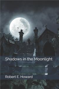 Shadows in the Moonlight