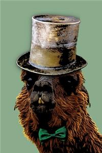Alpaca Notebook