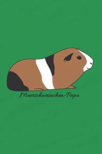 Meerschweinchen-Papa