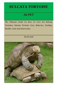 Sulcata Tortoise
